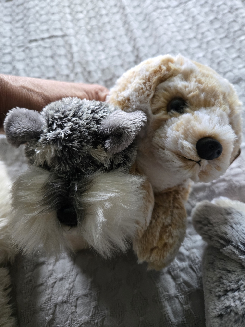 7 Lot! 🐶Aurora & Other Plush Puppy & Dog Stuffed Animal Lot - Picture 4 of 8